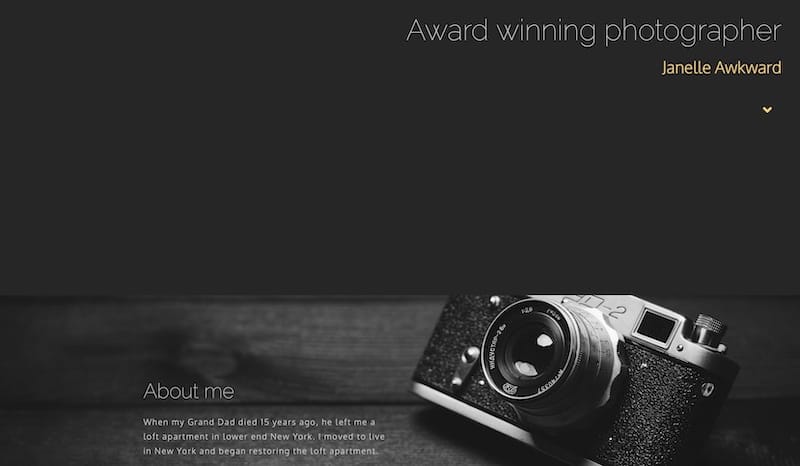 Beaver Builder - Best WordPress Themes for Photographers