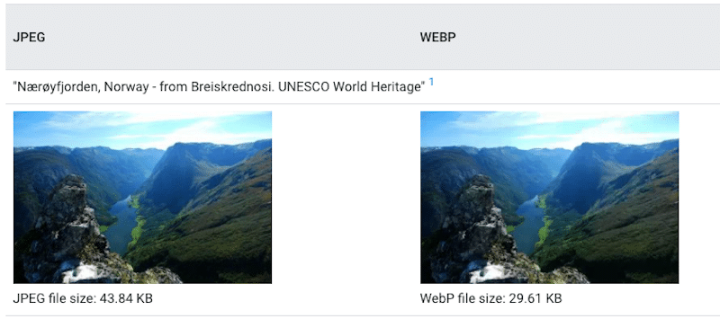 JPEG vs WebP: same quality but different size - Source: WebP Gallery