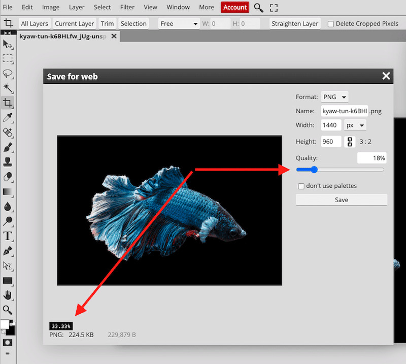 Optimizing images with Photopea - Source: Photopea