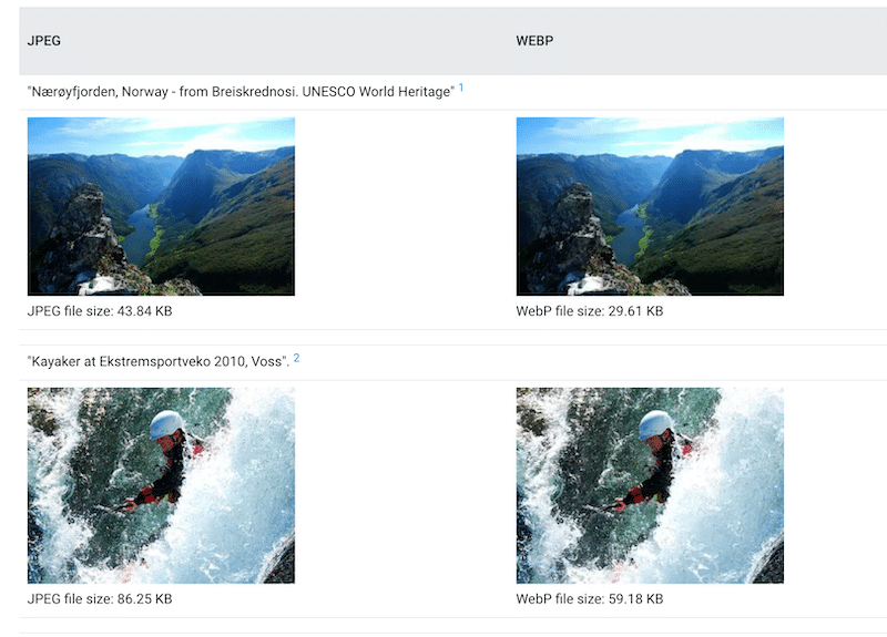 JPEG vs WebP - Source: WebP Gallery