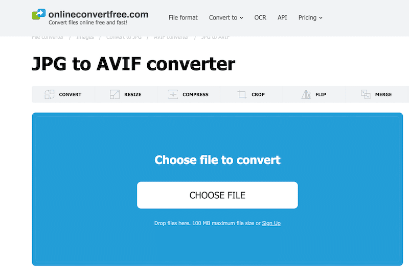 Upload your file for AVIF conversion - Source: Onlineconvertfree